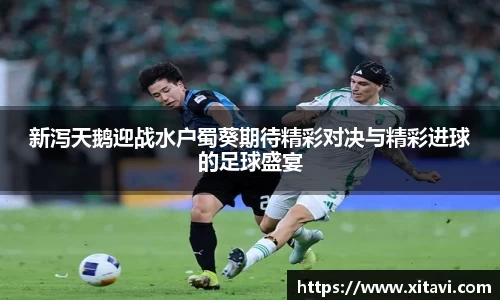 新泻天鹅迎战水户蜀葵期待精彩对决与精彩进球的足球盛宴